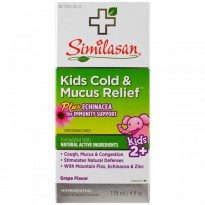 Similasan, Kids Cold & Mucus Relief, with Echinacea, Grape, 4 fl oz (118 ml)