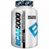 EVLution Nutrition, BCAA 5000, 240 Capsules
